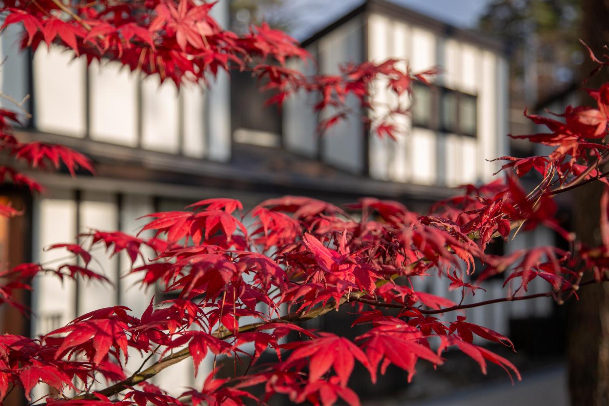 Glamping Villa Hanz Kawaguchiko Fujikawaguchiko Zimmer foto